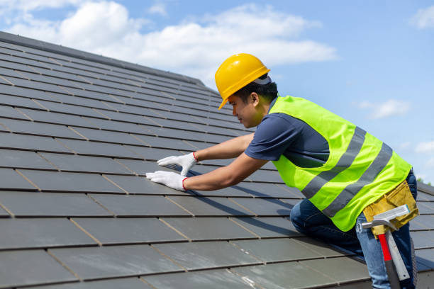 Best Emergency Roof Repair Services  in Steele, MO