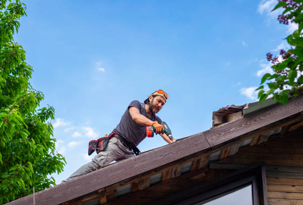 Best Gutter Installation and Repair  in Steele, MO